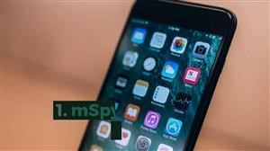 Central De Atendimento Mspy