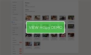Como Acessae O Painel De Controle Mspy