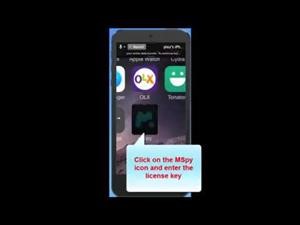 Painel Controle Mspy